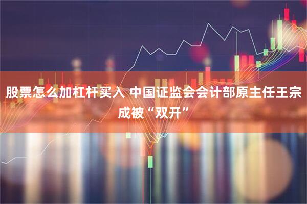 股票怎么加杠杆买入 中国证监会会计部原主任王宗成被“双开”
