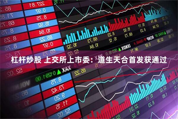 杠杆炒股 上交所上市委：道生天合首发获通过