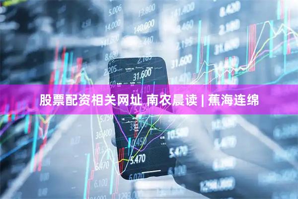 股票配资相关网址 南农晨读 | 蕉海连绵