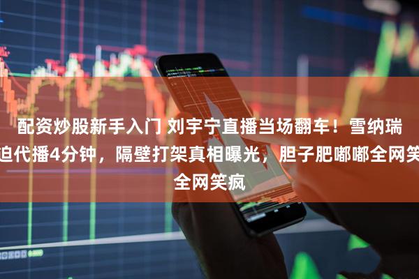 配资炒股新手入门 刘宇宁直播当场翻车！雪纳瑞被迫代播4分钟，隔壁打架真相曝光，胆子肥嘟嘟全网笑疯